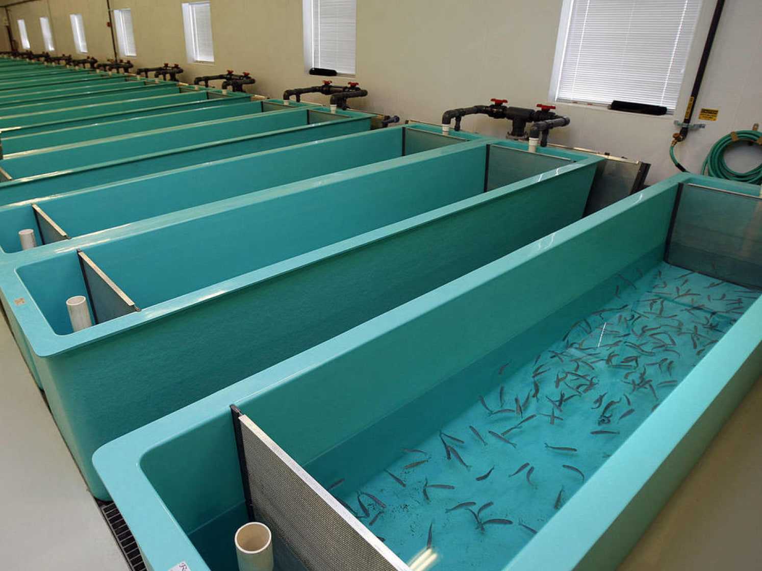 Marine Fiberglass Manufacturer Painted Rhino